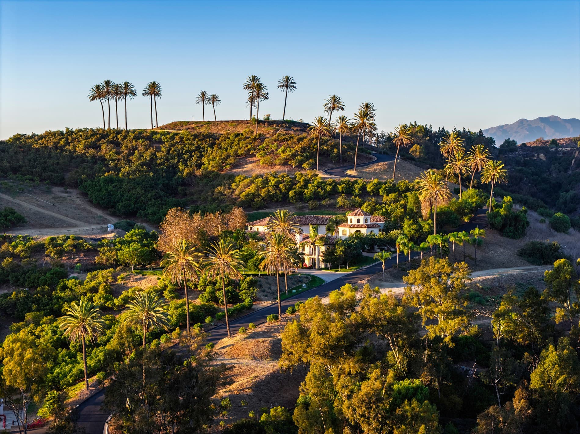 31062 Casa Grande Dr